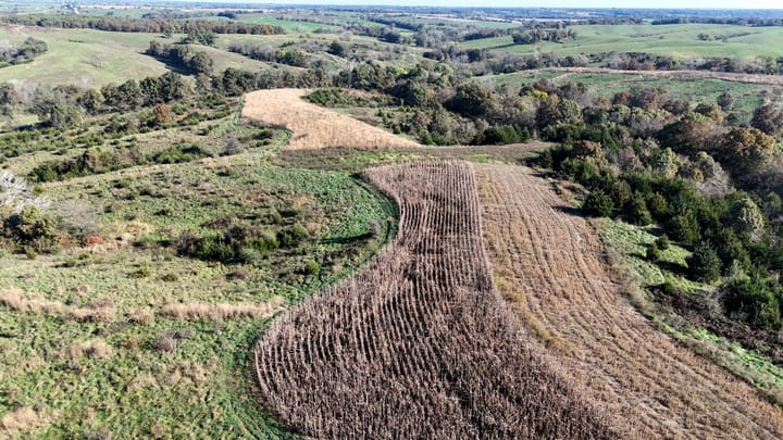 Dji 20261022101753 0584 D Jpg