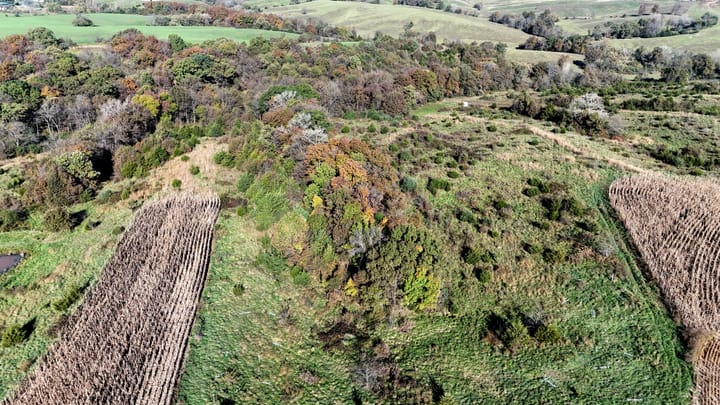 Dji 20261022101715 0581 D Jpg