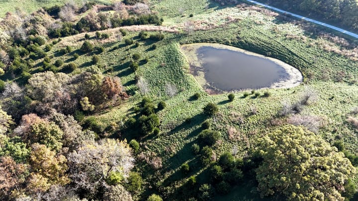 Dji 20261022101250 0569 D Jpg