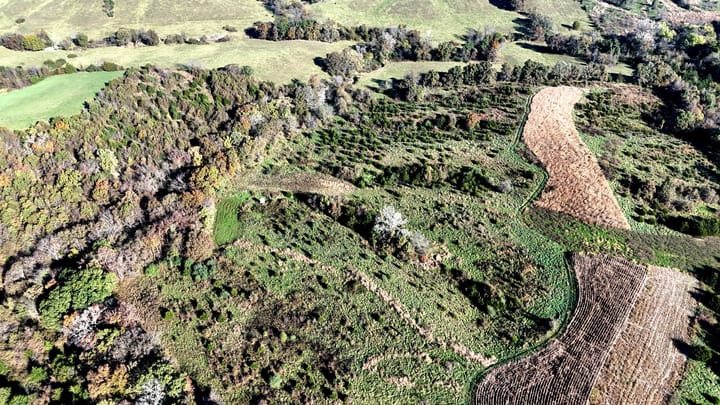 Dji 20261022100931 0559 D Jpg