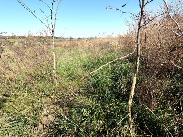 Image00023 Jpeg