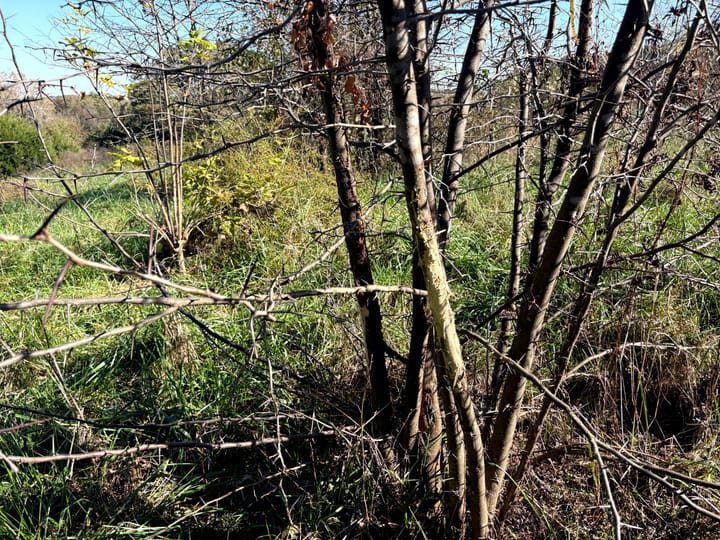 Image00027 Jpeg