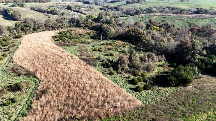 Dji 20261022101817 0586 D Jpg