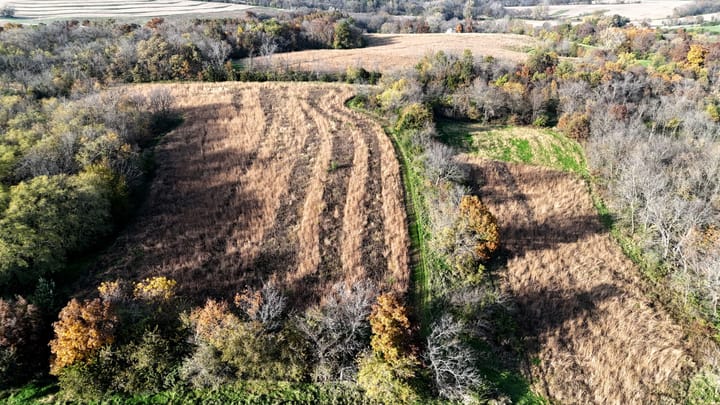 Dji 20261026162255 0639 D Jpg