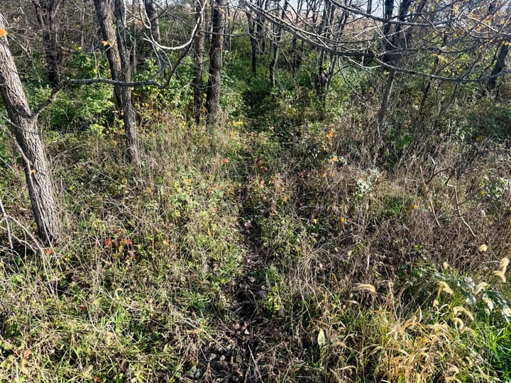 Image00028 Jpeg