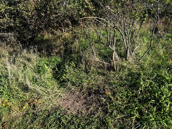 Image00069 Jpeg