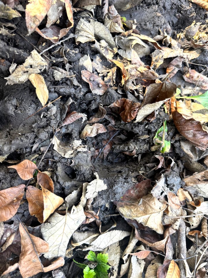 Image00044 Jpeg