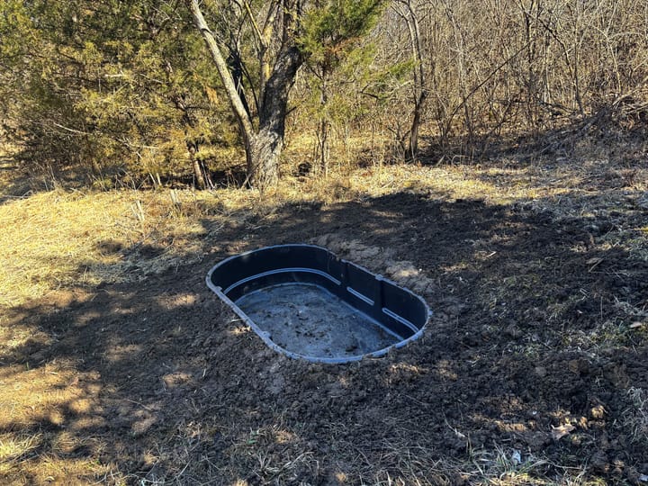 Water Hole