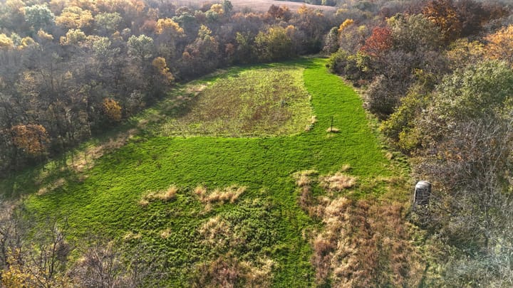 Dji 20261026162155 0636 D Jpg