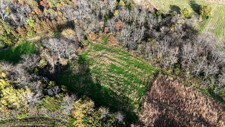 Dji 20261026162343 0641 D Jpg