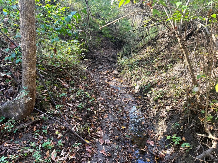 Image00061 Jpeg