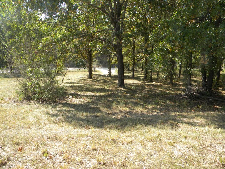 Dscn1434 Jpg