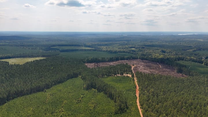 Compass South Land Sales Flatrock Road 14