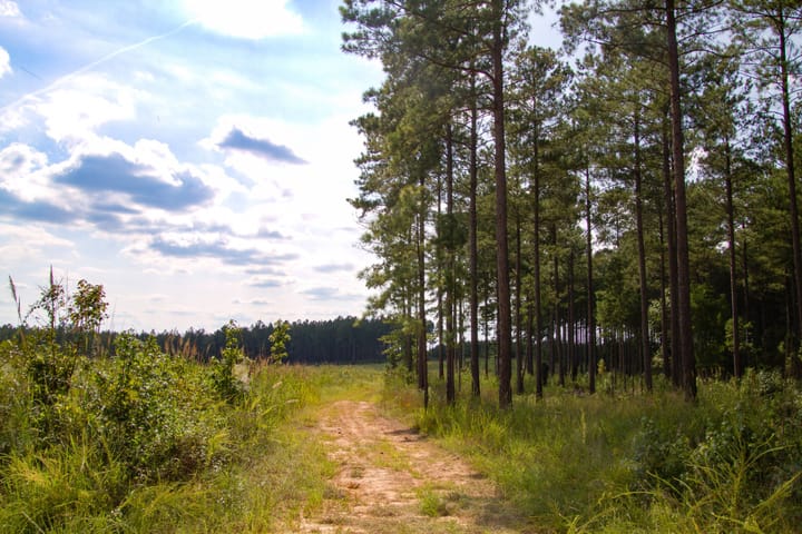 Compass South Land Sales Flatrock Road 05