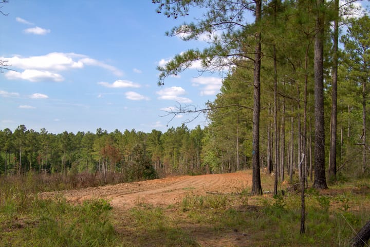 Compass South Land Sales Flatrock Road 06