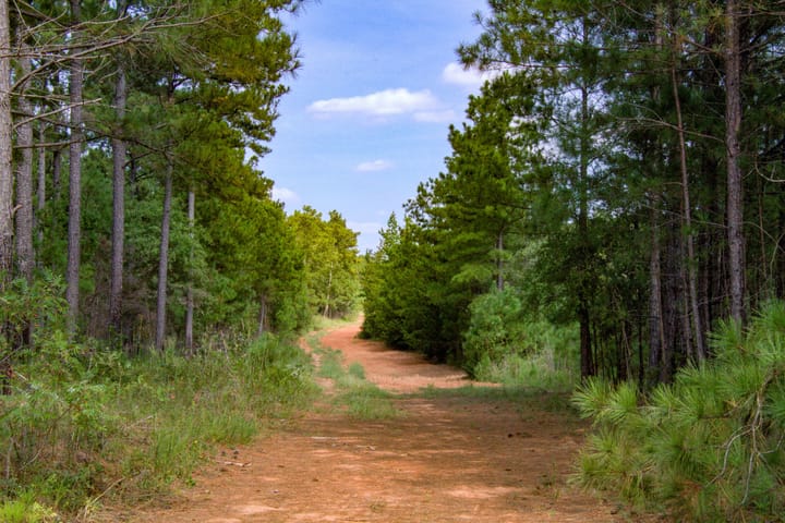 Compass South Land Sales Flatrock Road 03