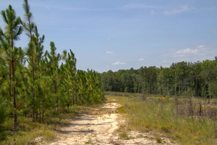 Compass South Land Sales Blue Heron 1 05
