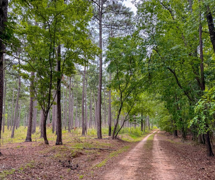 Compass South Land Sales Sunny Hill Plantation 31