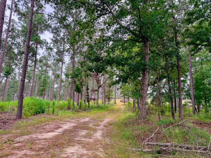 Compass South Land Sales Sunny Hill Plantation 32