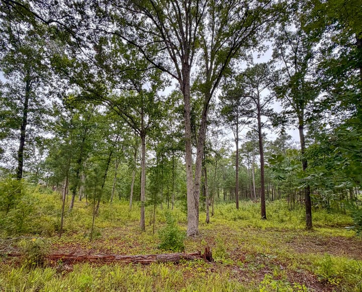 Compass South Land Sales Sunny Hill Plantation 33