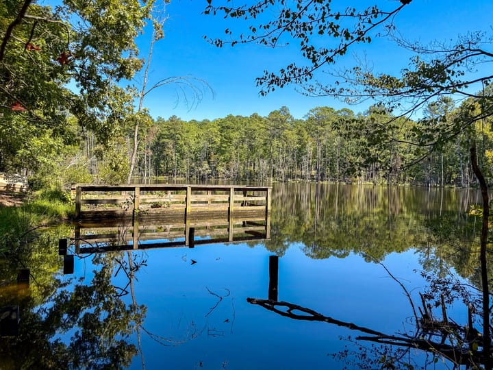 Compass South Land Sales Sunny Hill Plantation 01