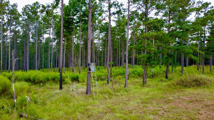Compass South Land Sales Sunny Hill Plantation 36