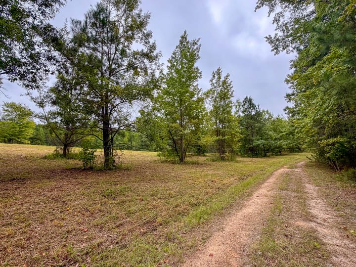 Compass South Land Sales Sunny Hill Plantation 04