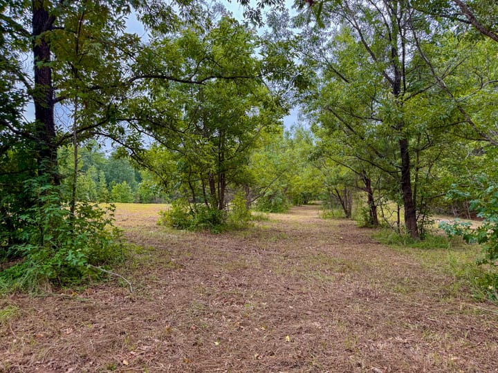 Compass South Land Sales Sunny Hill Plantation 05