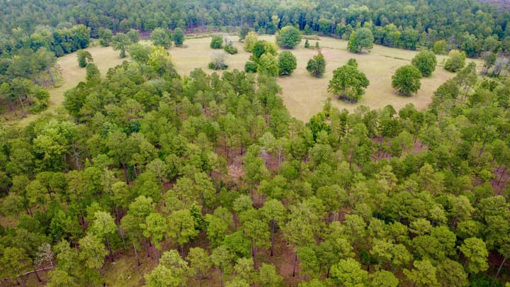 Compass South Land Sales Sunny Hill Plantation 42