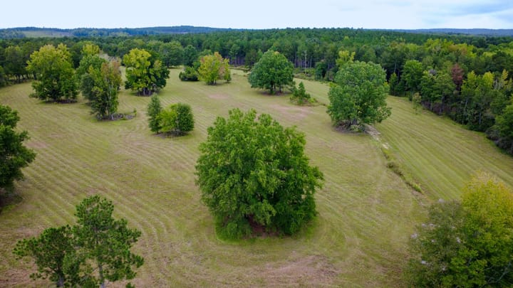 Compass South Land Sales Sunny Hill Plantation 47