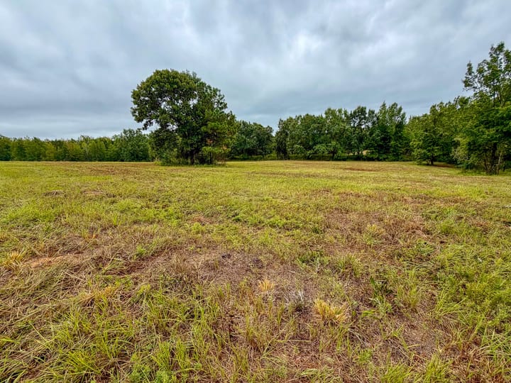 Compass South Land Sales Sunny Hill Plantation 07