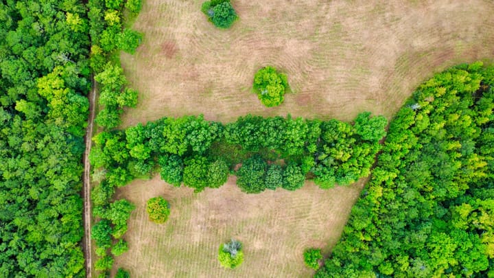 Compass South Land Sales Sunny Hill Plantation 50