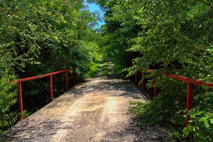 Compass South Land Sales Alabama Mulberry Fork 10