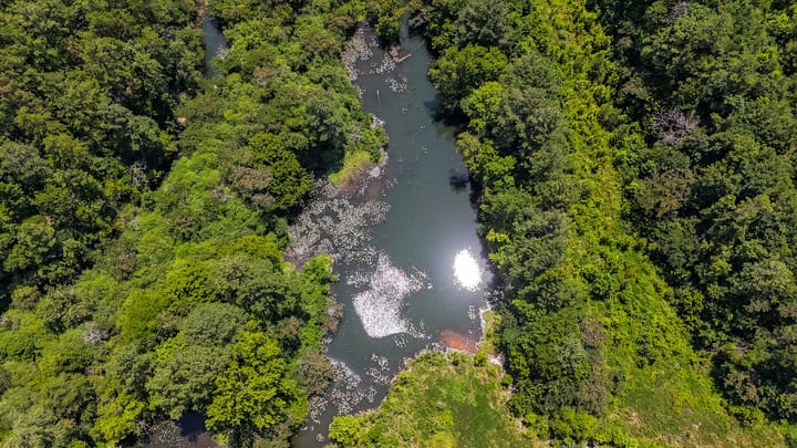 Compass South Land Sales Alabama Mulberry Fork 19