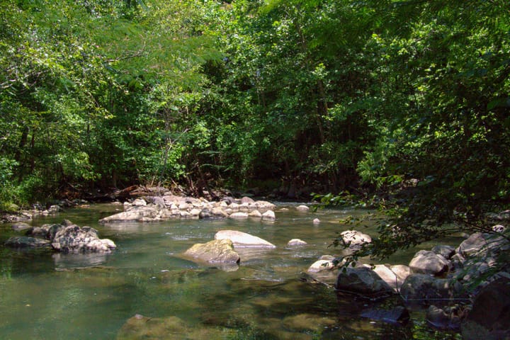 Compass South Land Sales Alabama Mulberry Fork 15