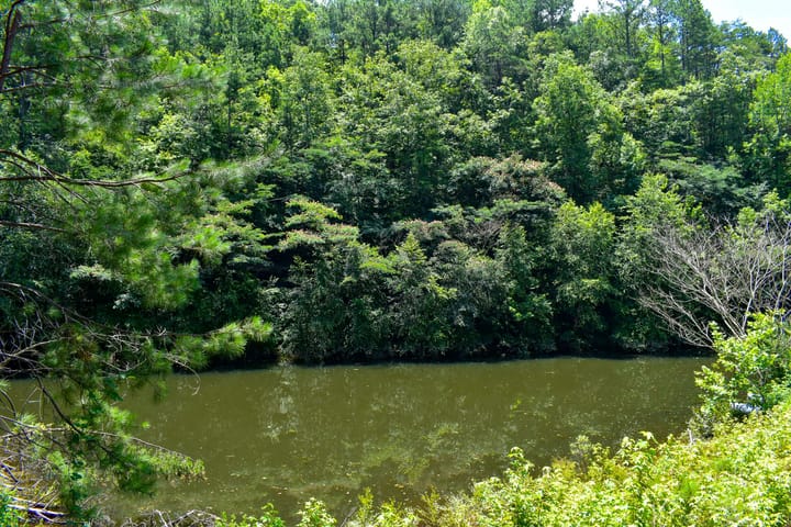 Compass South Land Sales Alabama Mulberry Fork 07