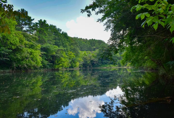 Compass South Land Sales Alabama Mulberry Fork 09