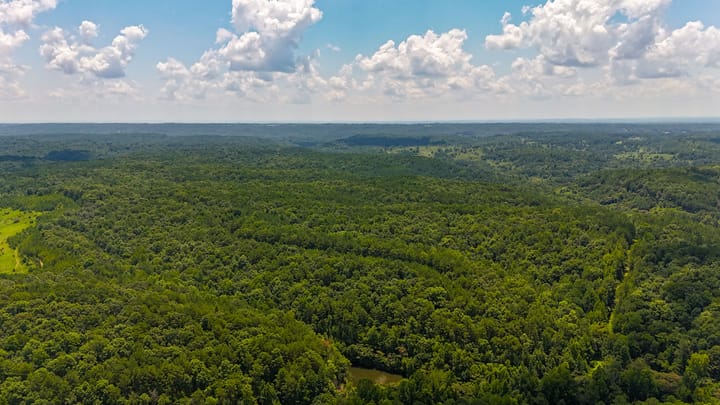 Compass South Land Sales Alabama Mulberry Fork 22