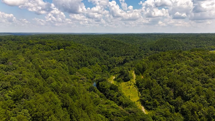 Compass South Land Sales Alabama Mulberry Fork 23