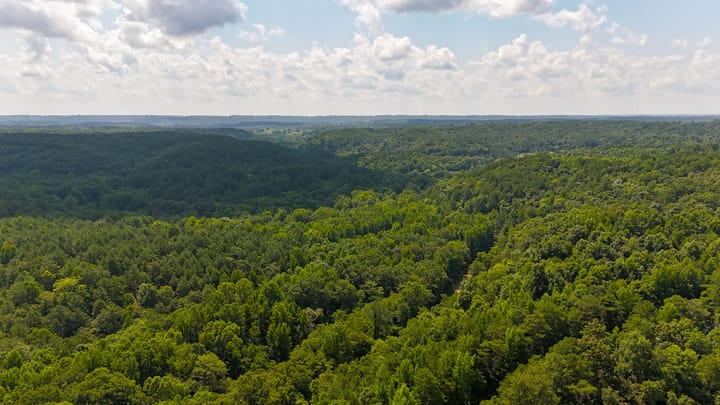Compass South Land Sales Alabama Mulberry Fork 30