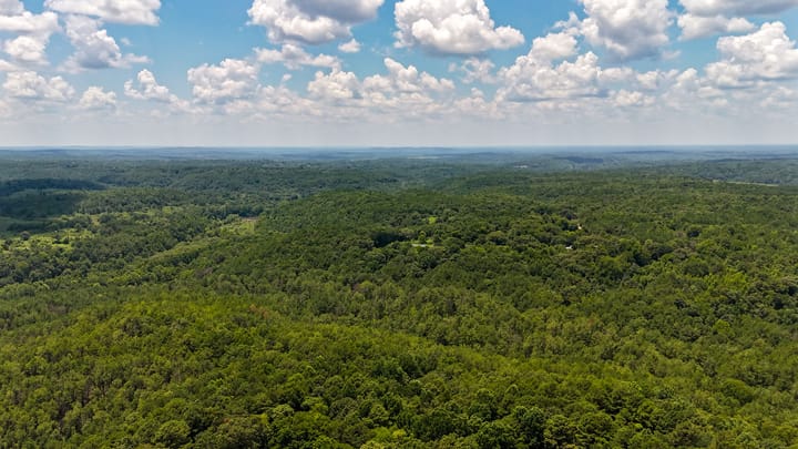 Compass South Land Sales Alabama Mulberry Fork 31