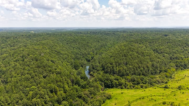 Compass South Land Sales Alabama Mulberry Fork 24