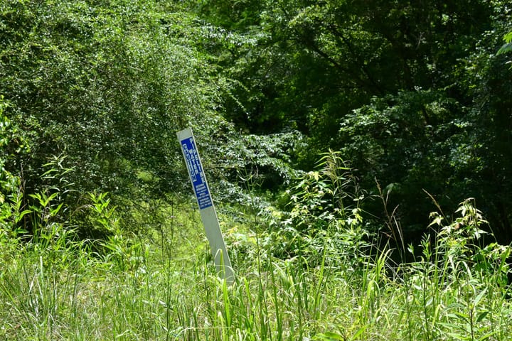 Compass South Land Sales Alabama Mulberry Fork 32