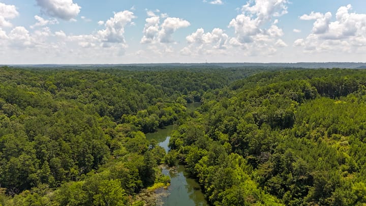 Compass South Land Sales Alabama Mulberry Fork 20