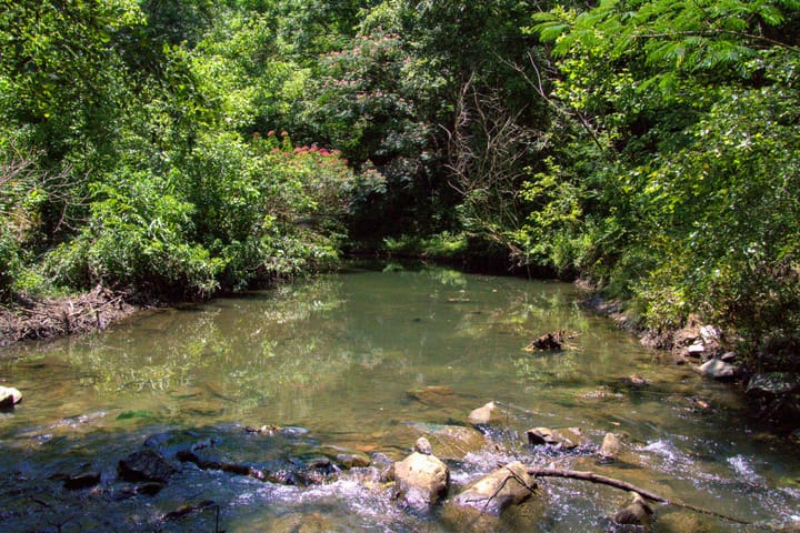 Compass South Land Sales Alabama Mulberry Fork 14