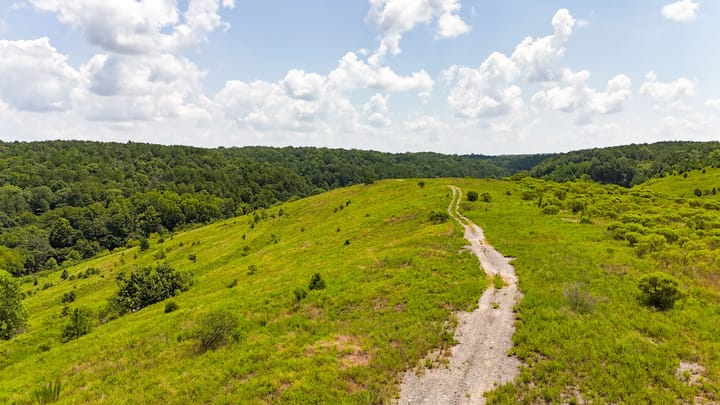Compass South Land Sales Alabama Mulberry Fork 27