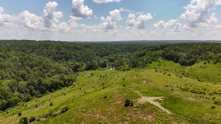 Compass South Land Sales Alabama Mulberry Fork 26