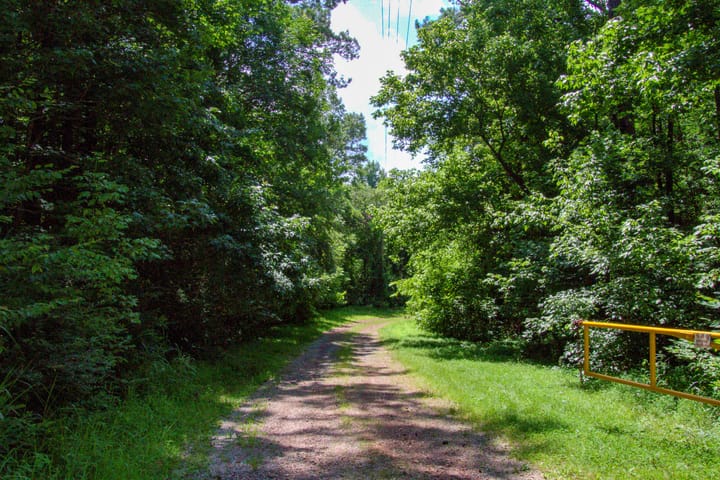 Compass South Land Sales Alabama Mulberry Fork 04