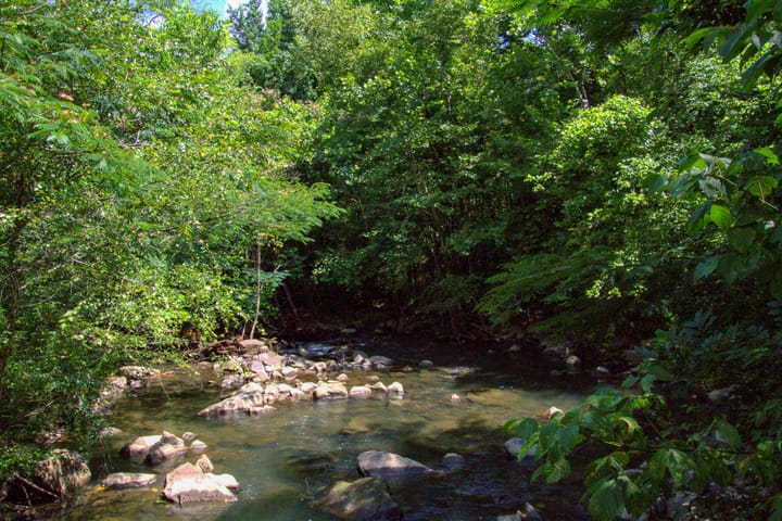 Compass South Land Sales Alabama Mulberry Fork 13