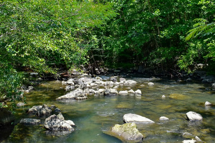 Compass South Land Sales Alabama Mulberry Fork 11